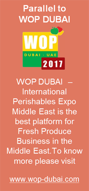 WOP DUBAI 2017