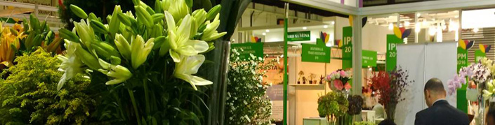 IPM DUBAI 2017<br>INTERNATIONAL PLANTS EXPO MIDDLE EAST<br>05 - 07 December, 2017