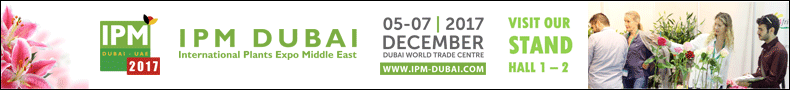 Parallel to IPM DUBAI